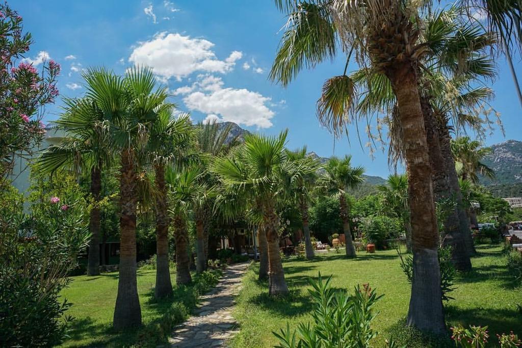 טורונץ' Maris Butik Hotel מראה חיצוני תמונה
